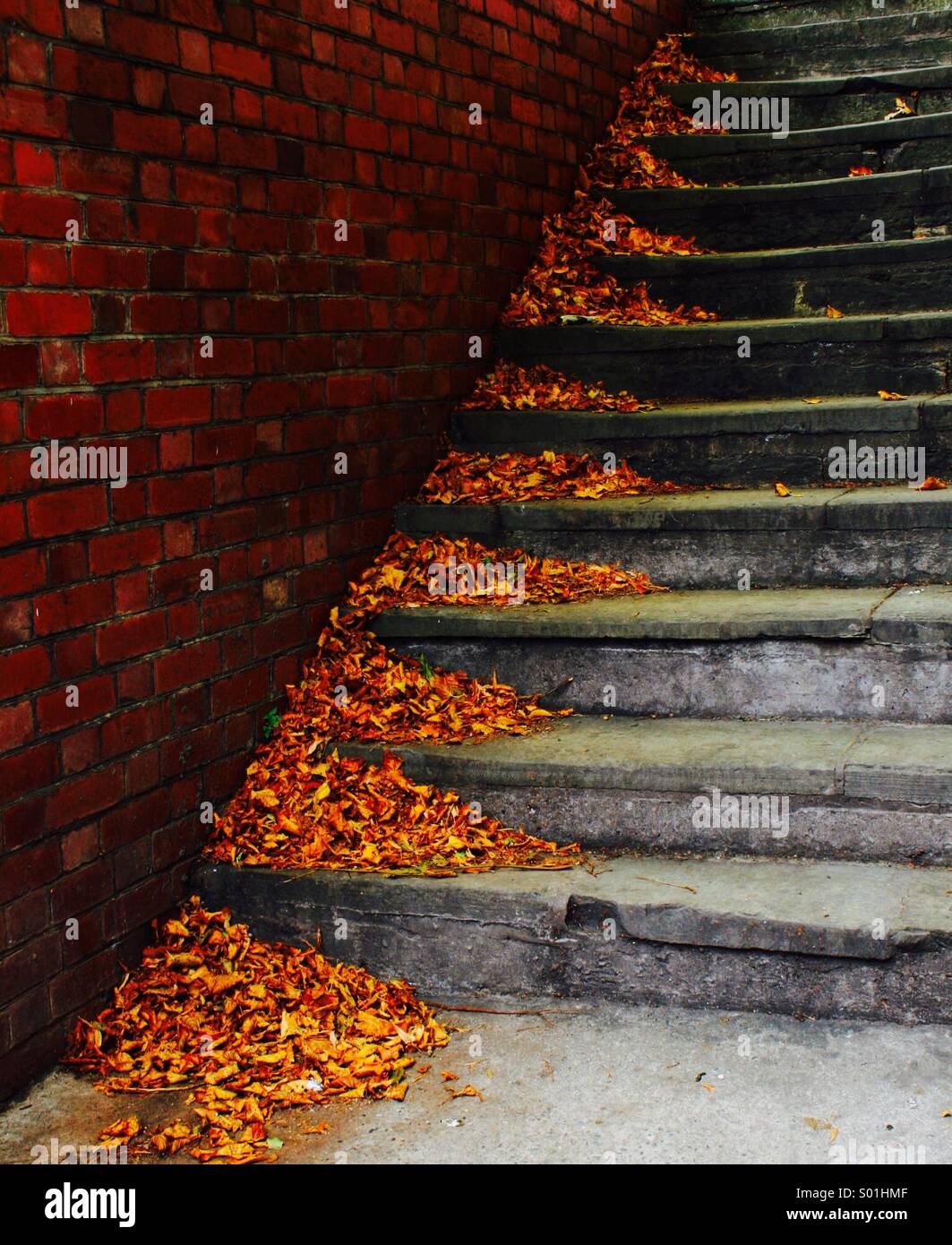 Autumn leaves blown into corners of stone steps Stock Photo