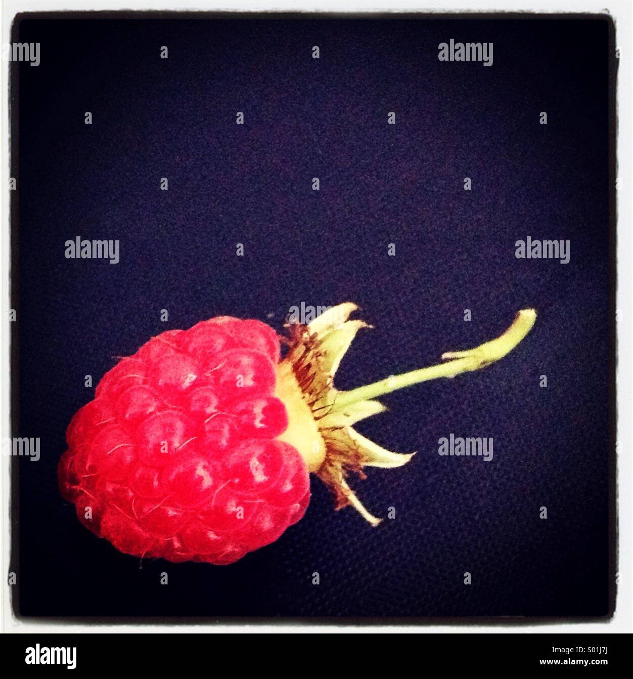 Single fresh hi-res stock photography and images - Alamy