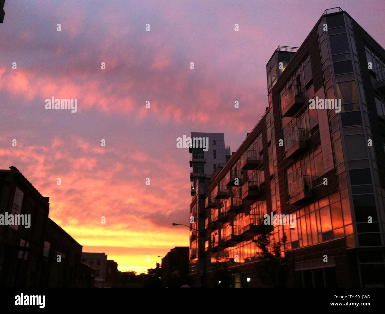 Williamsburg, Brooklyn at sunset in the summer. - Smartphone Captured Stock Image