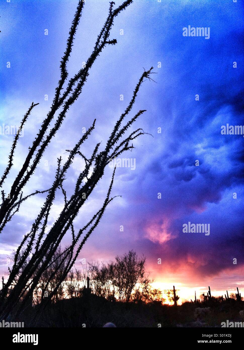 Sunset over the sonoran desert in arizona hi-res stock photography and ...