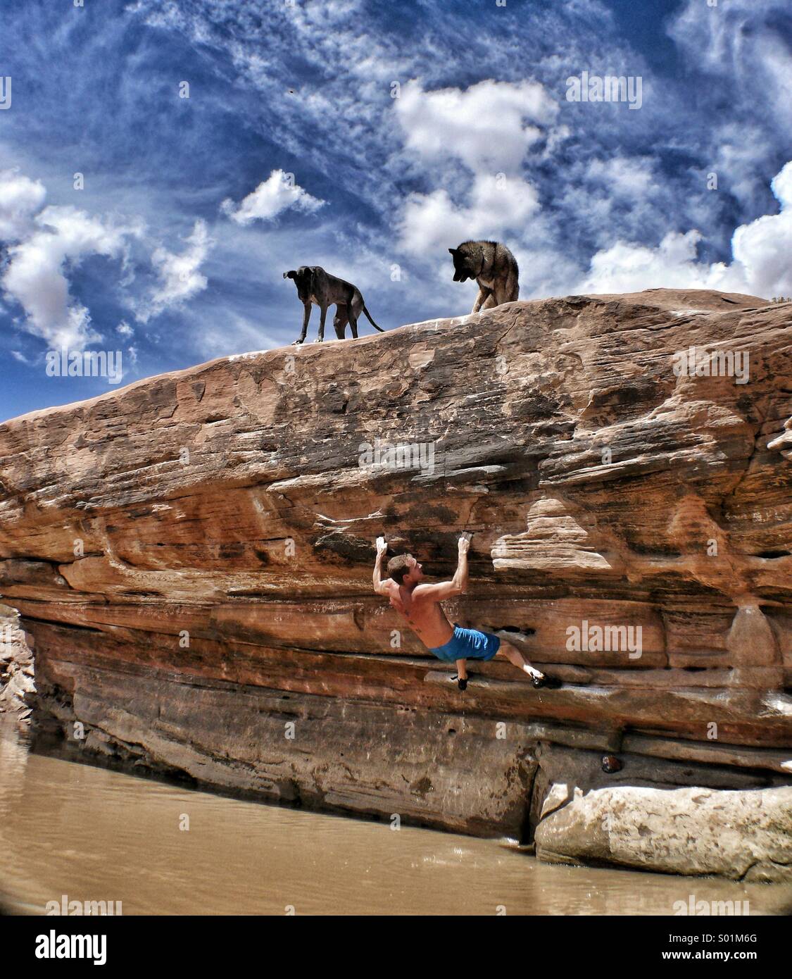 Two dogs watch a fit man rock climber boulder over the Colorado river in Moab, Utah. Stock Photo