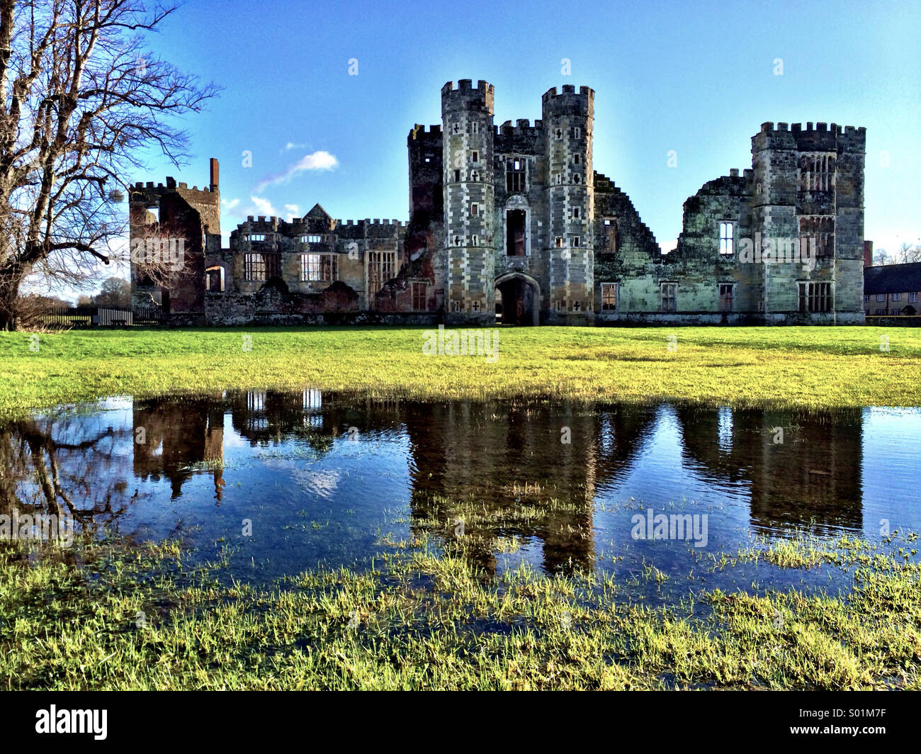 Cowdray Park, Sussex Stock Photo