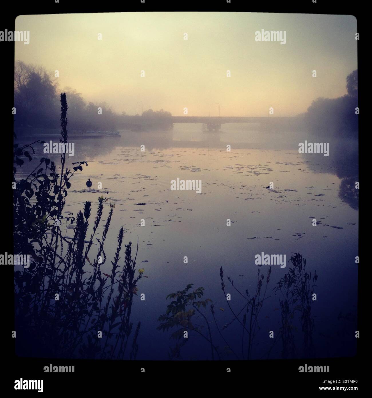 Sunrise in Michigan - Smartphone Captured Stock Image