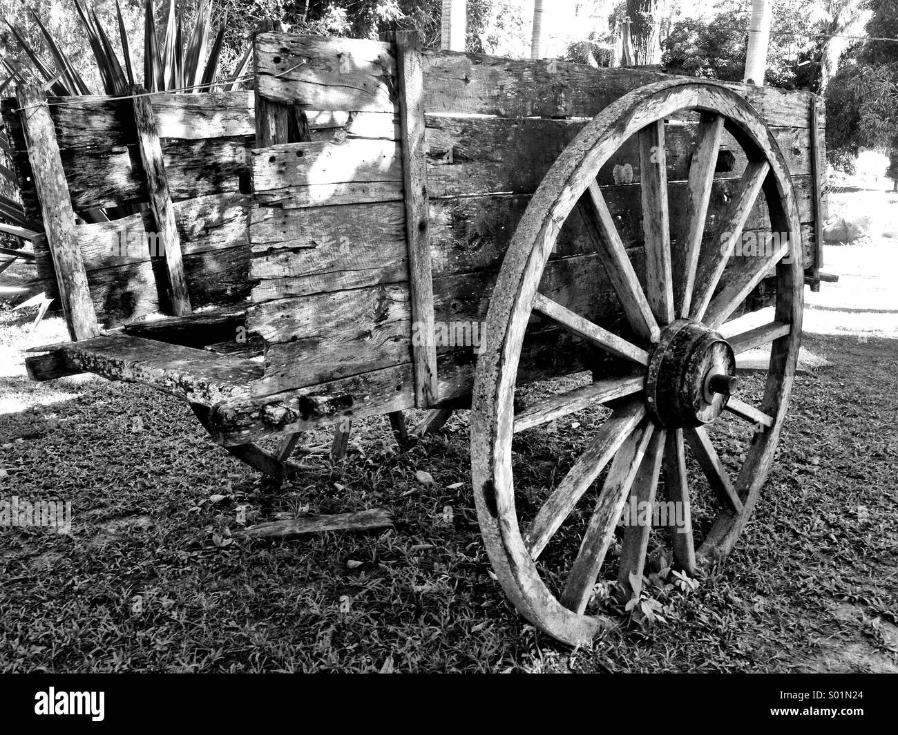 Old wooden cart in black and white Stock Photo