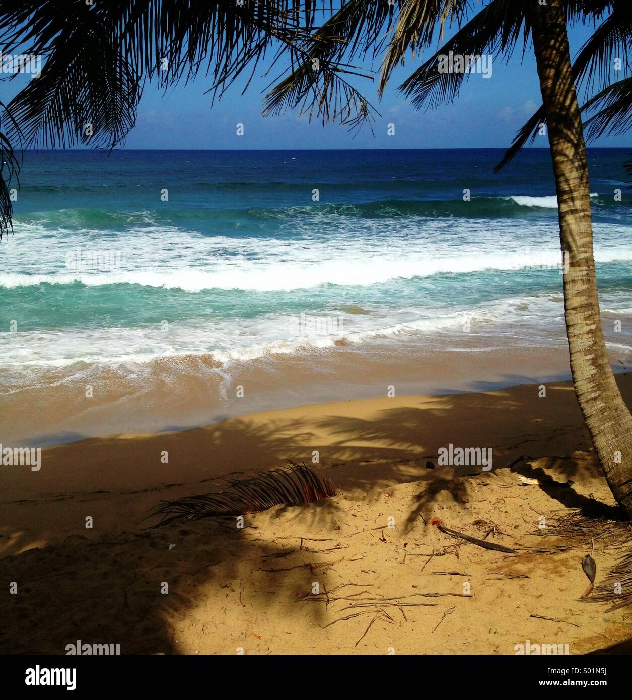Sandy Beach Villa Rincon