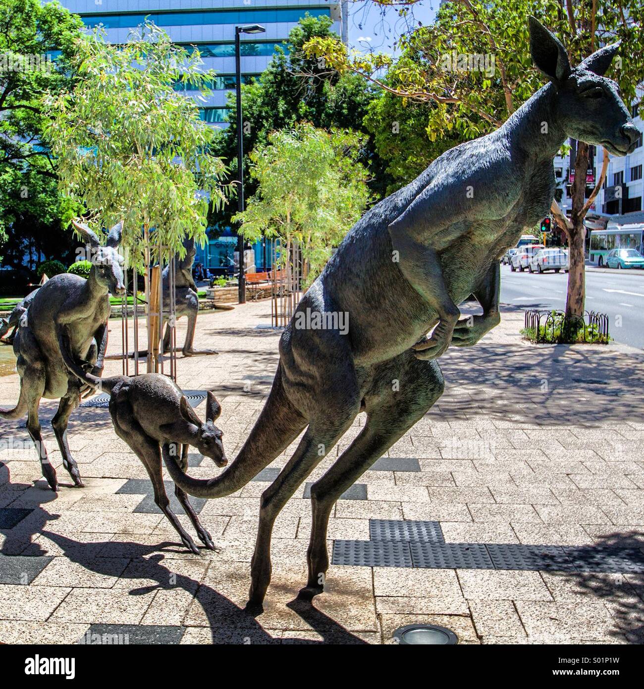 Kangaroo statues Perth, Western Australia Stock Photo Alamy