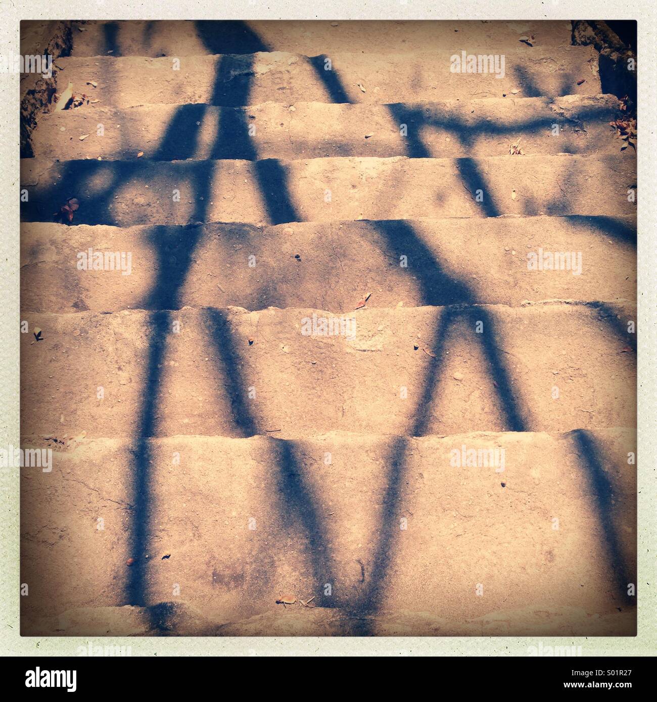 Tree shadow on stairs - Smartphone Captured Stock Image