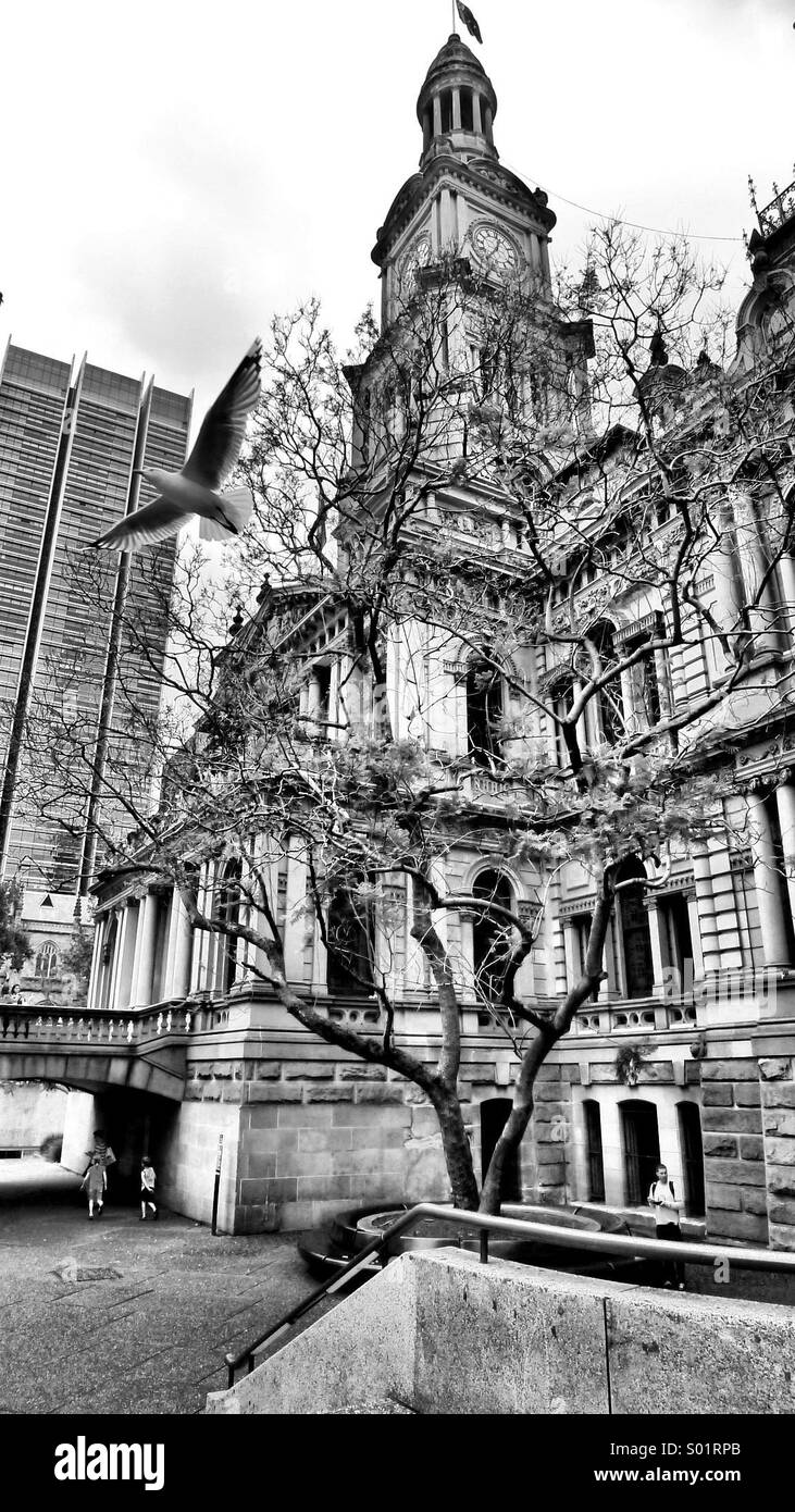 Old sydney town hall hires stock photography and images Alamy