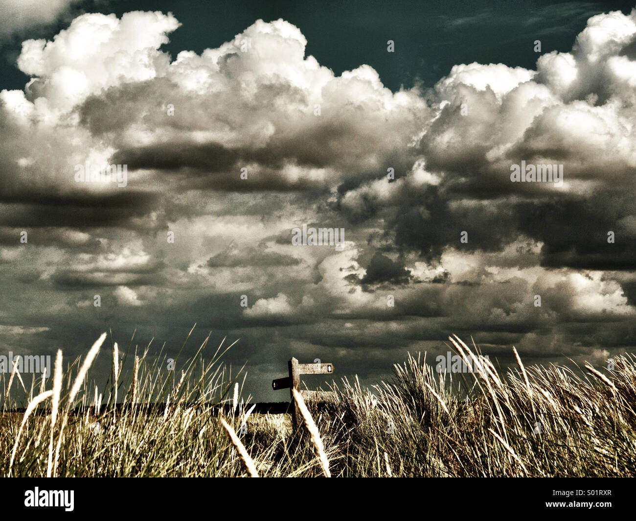 Big sky and signpost - where to now? Stock Photo