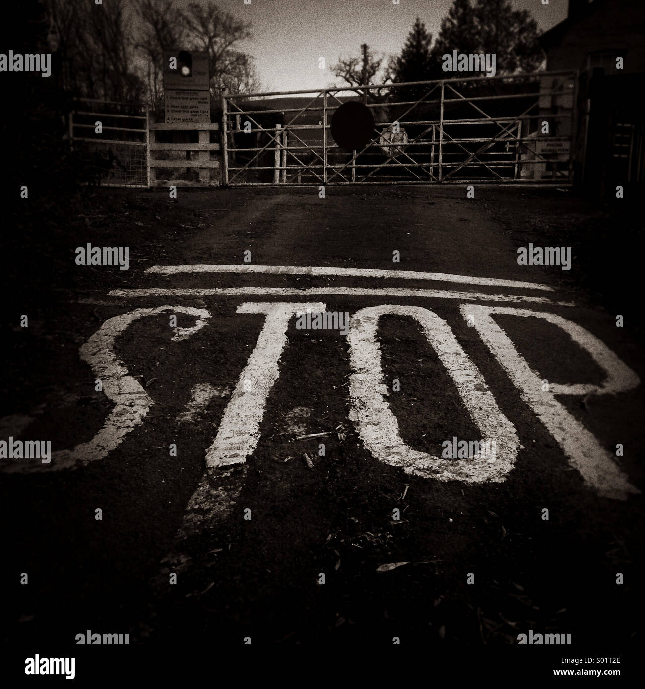 Stop sign at level crossing Stock Photo