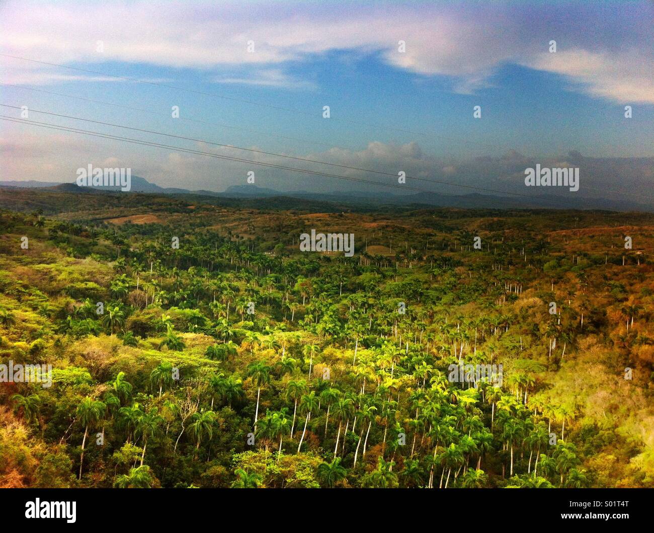 Yumuri Valley, Cuba Stock Photo Alamy