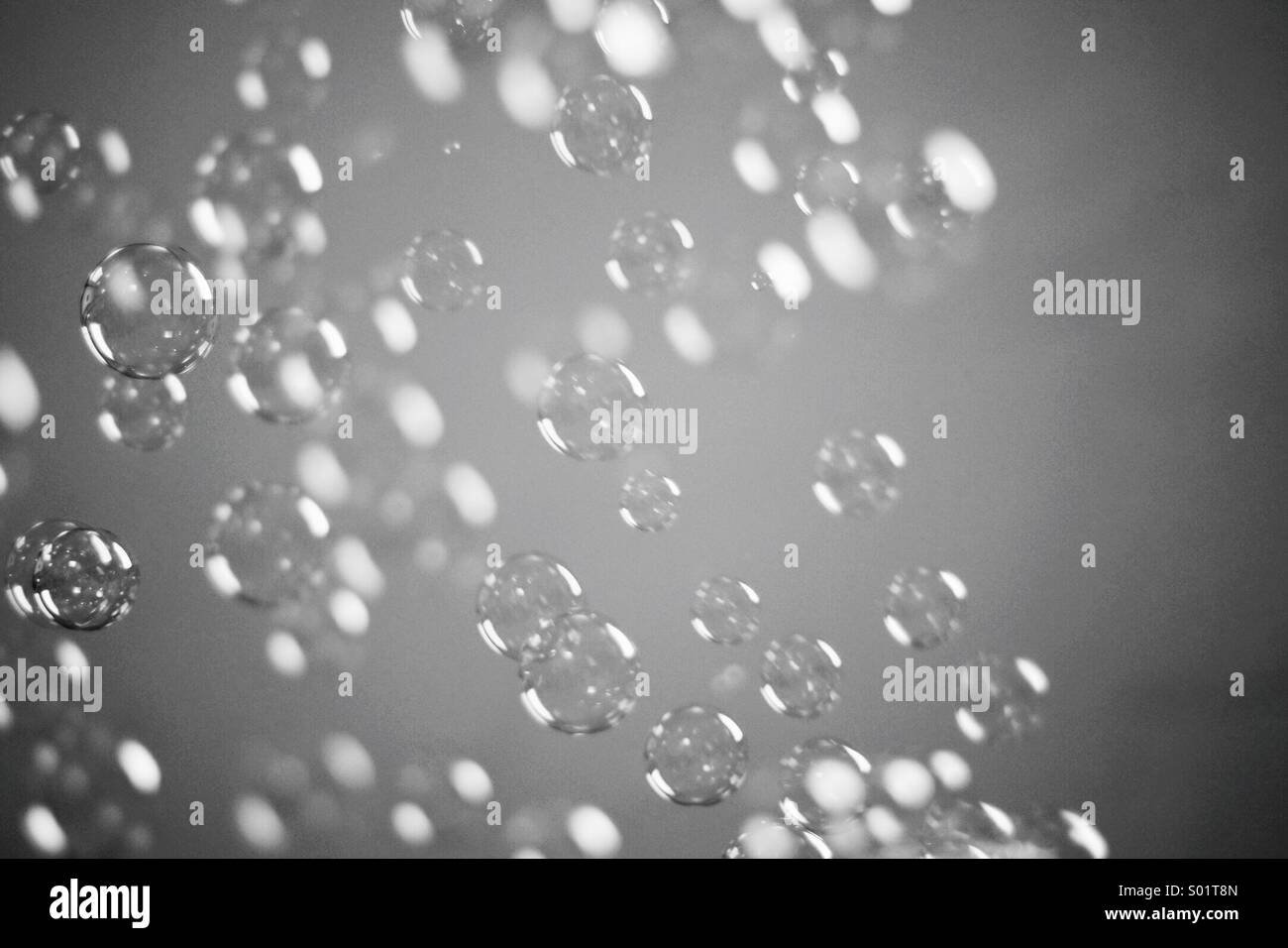 Bubbles and circles Black and White Stock Photos & Images - Alamy