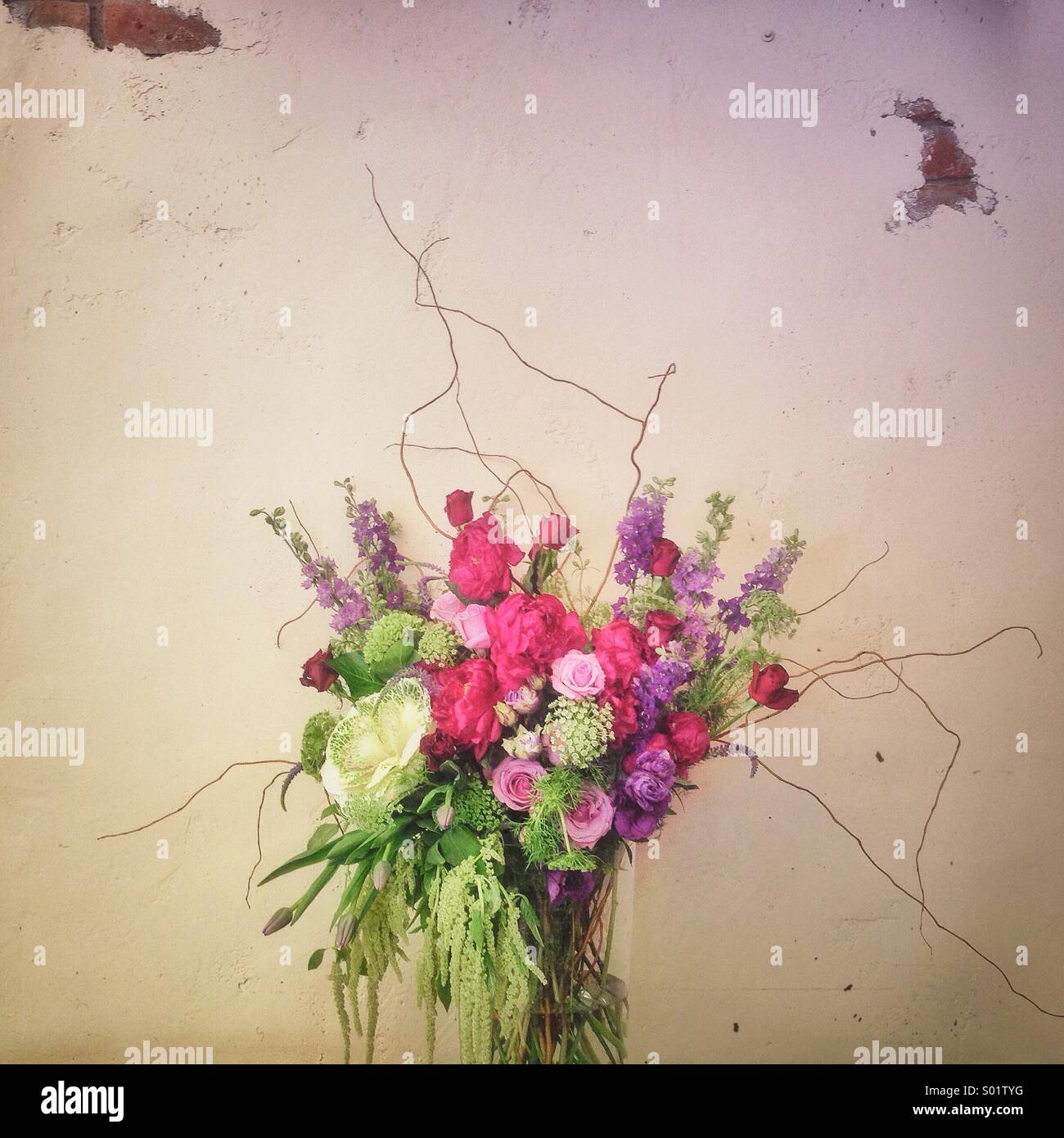 Wall Flowers Stock Photo Alamy