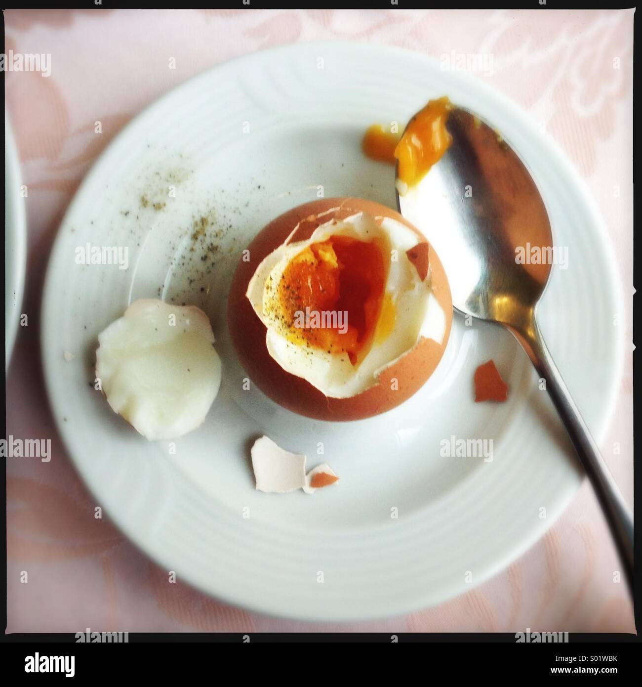 A perfect boiled egg Stock Photo