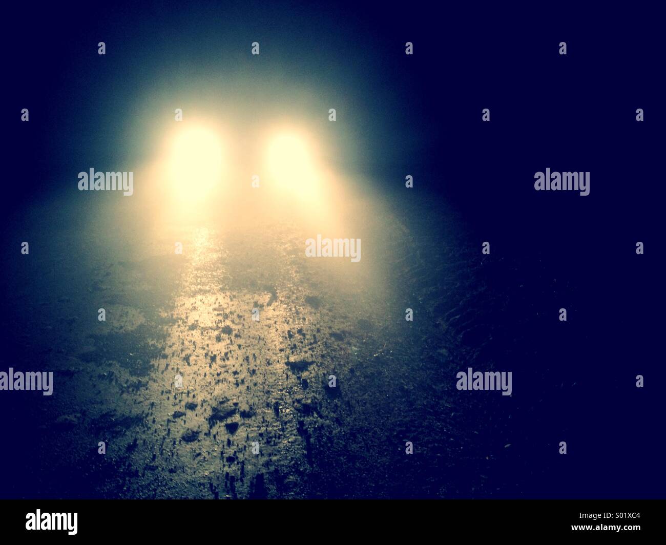 Car headlights on a foggy road at night time Stock Photo Alamy