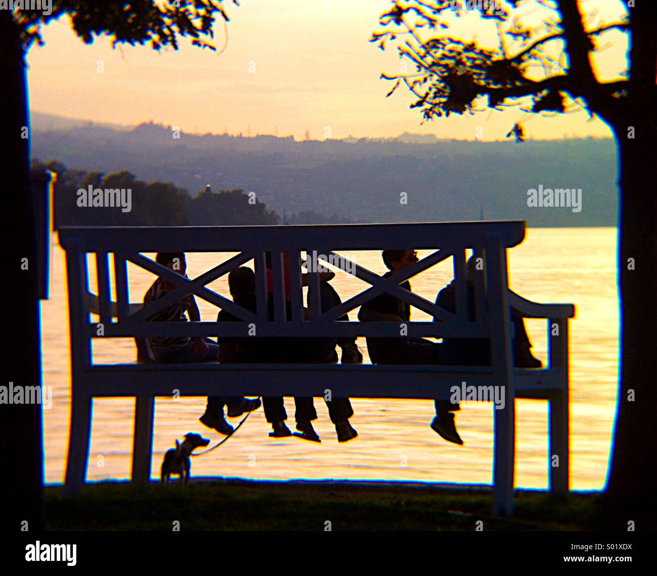 Giant bench, Rapperswil, Switzerland - Smartphone Captured Stock Image