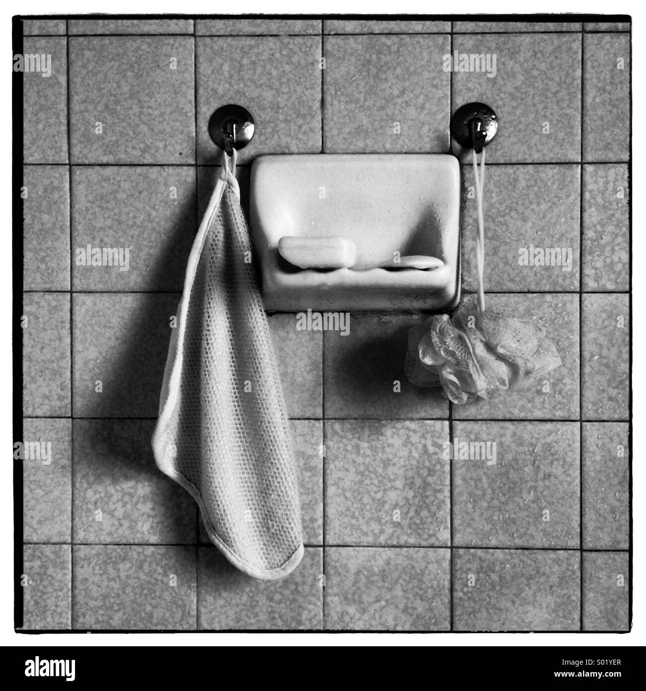 Bathroom soap dish Stock Photo Alamy