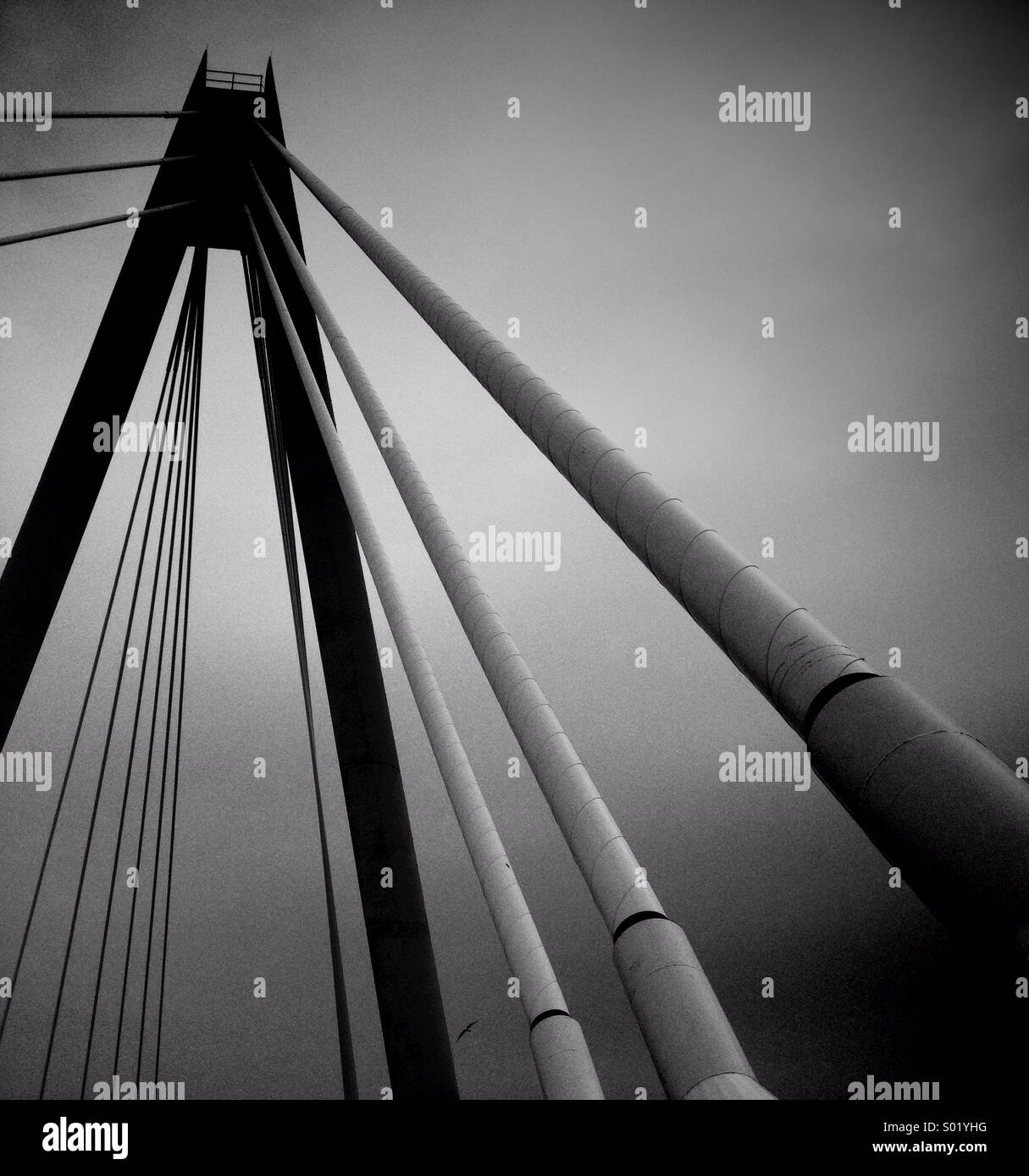 Cables on Marine Way suspension bridge - Smartphone Captured Stock Image