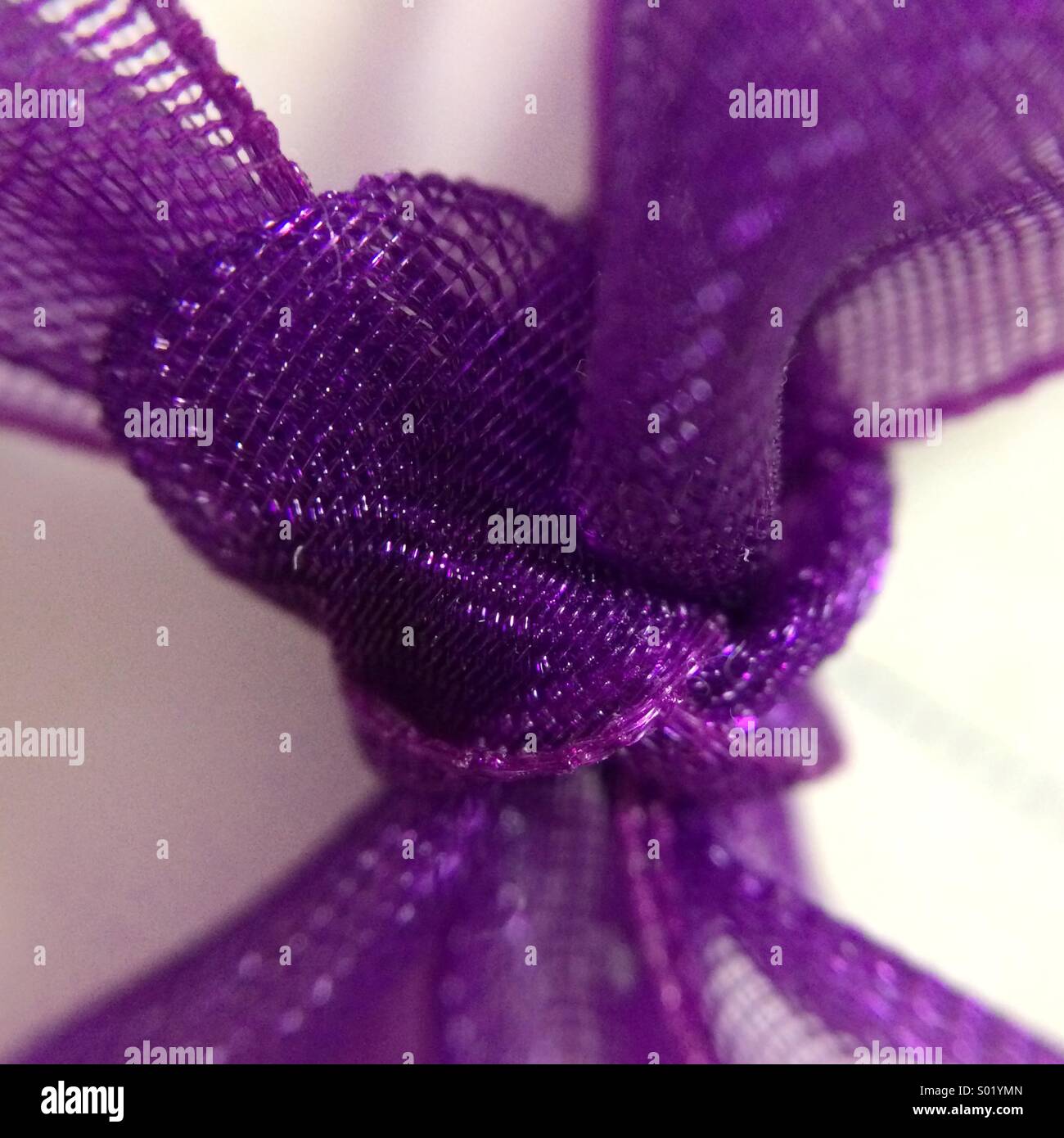 Macro of a purple knot. - Smartphone Captured Stock Image