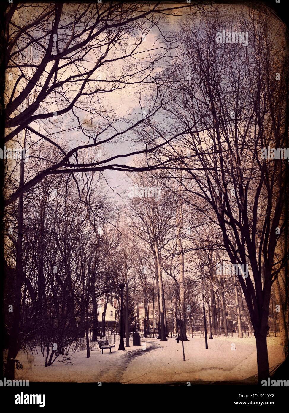 Austin Gardens. Oak Park, Illinois. - Smartphone Captured Stock Image