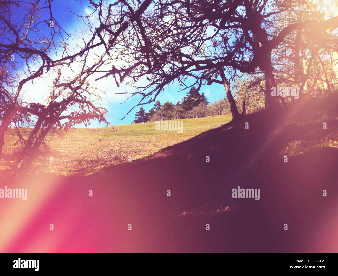 Grass and hillside in silhouette hires stock photography and images