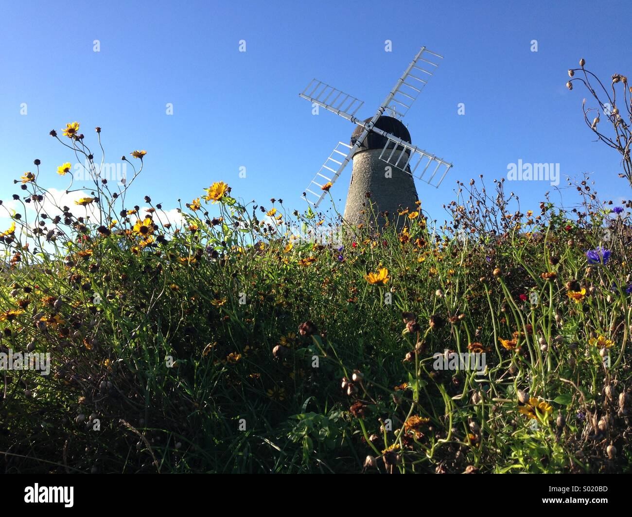 Whitburn windmill near Sunderland. Stock Photo