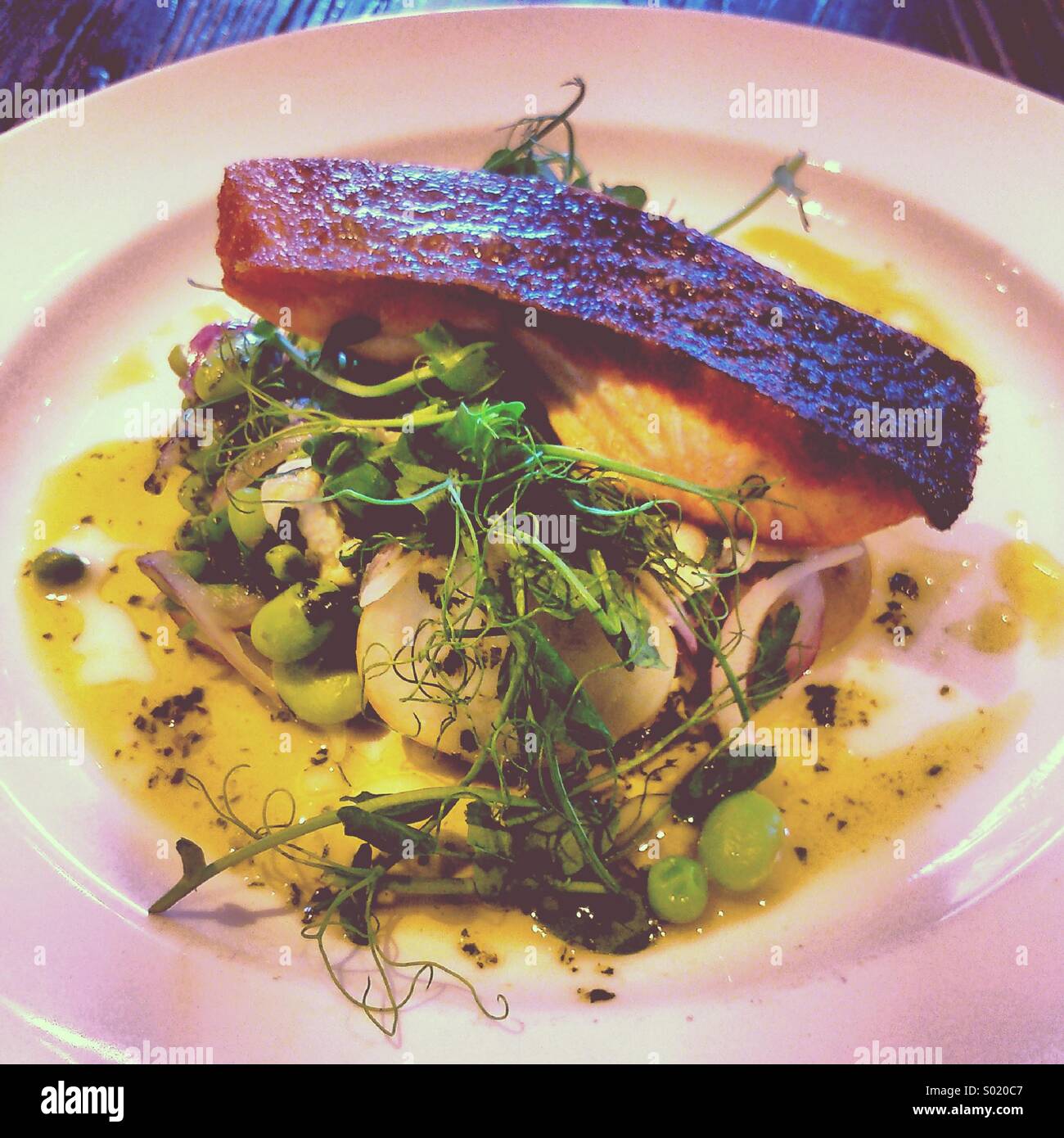 Grilled salmon, new potatoes, feta, pea, mint and edamame bean salad - Smartphone Captured Stock Image