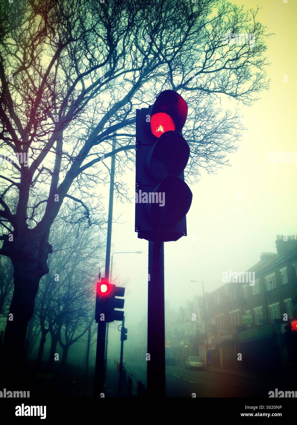 Stop lights on a foggy morning street - Smartphone Captured Stock Image