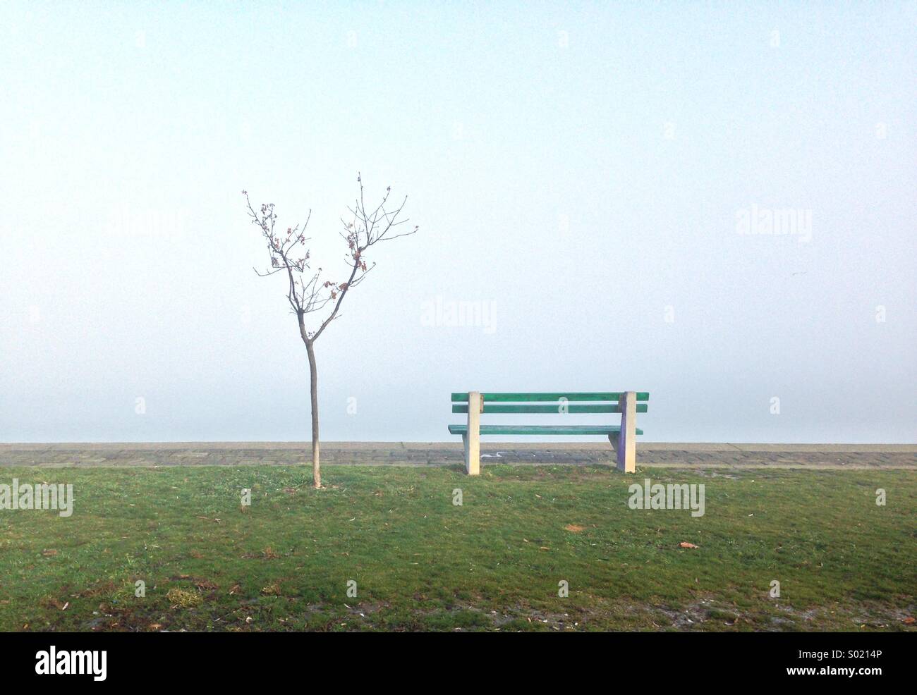 Lonely park with bench hi-res stock photography and images - Alamy