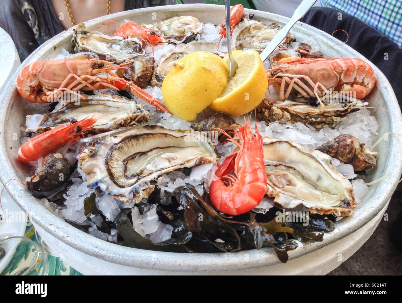 Crustaceans and oysters seafood platter at ice Stock Photo Alamy