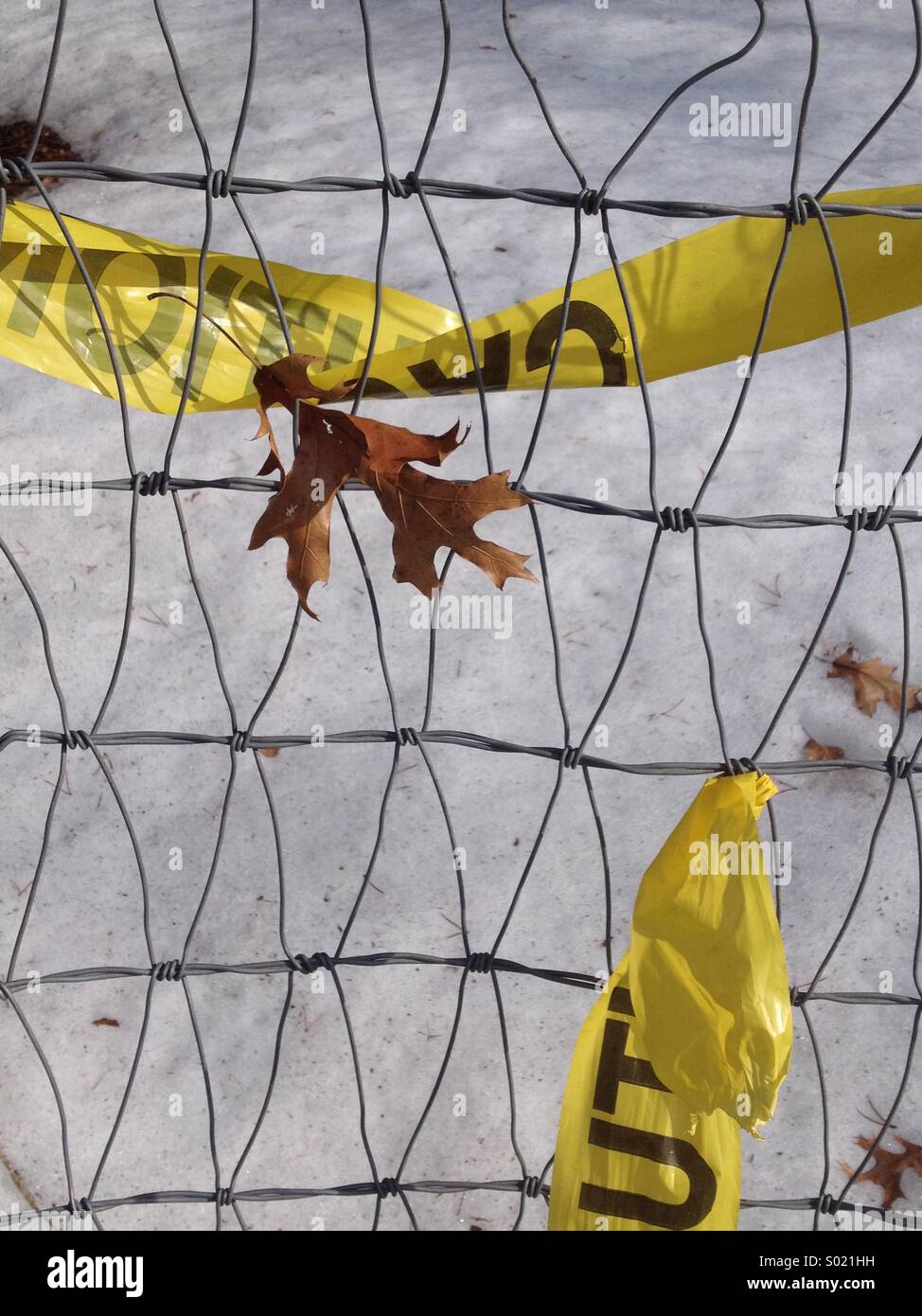 Oak leaf caught near twisted yellow caution tape on wire mesh safety fence in winter Stock Photo