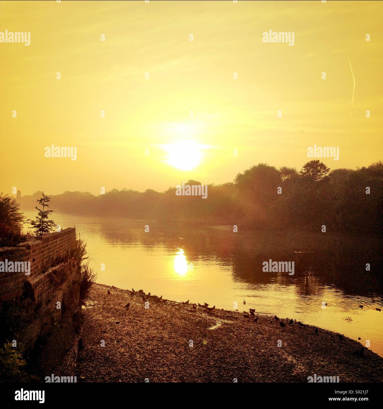 Sunrise over Thames in Isleworth Stock Photo