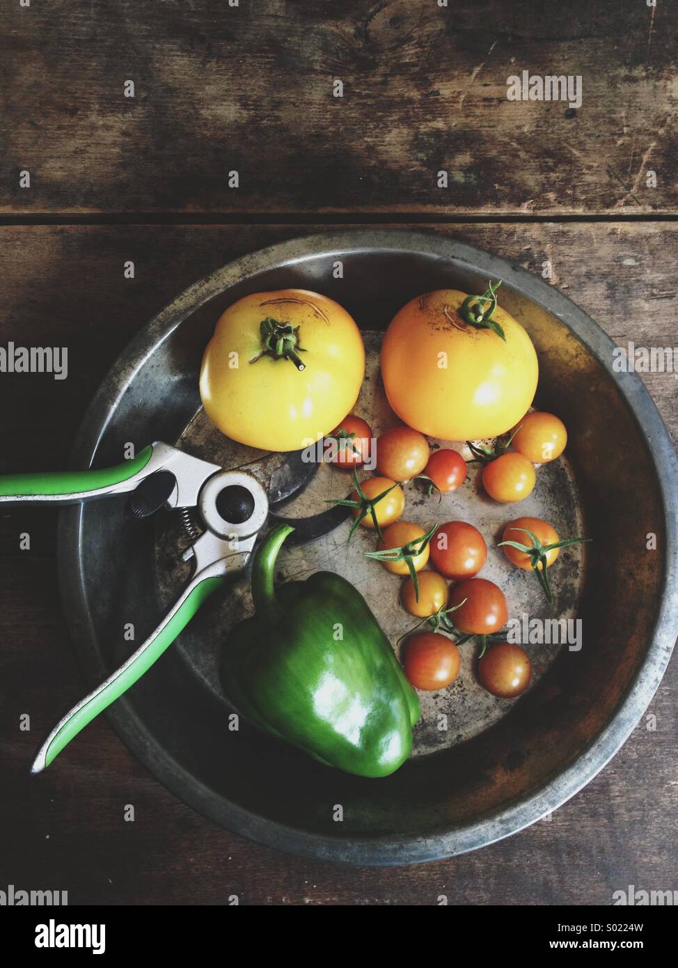 Vegetables harvested from an urban garden. Stock Photo