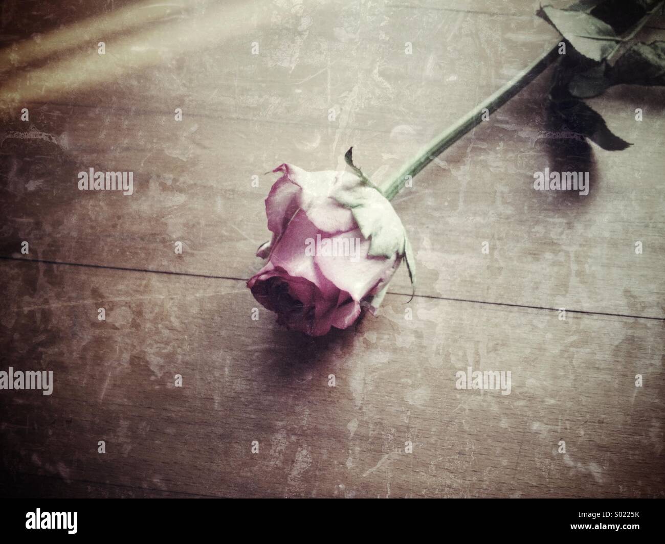 Pick me up - Smartphone Captured Stock Image