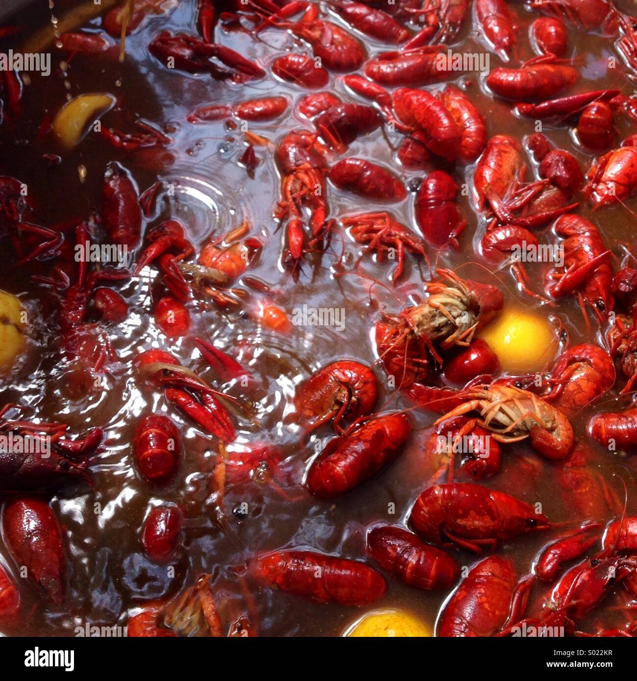 Wild caught Louisiana crawfish boil. Stock Photo