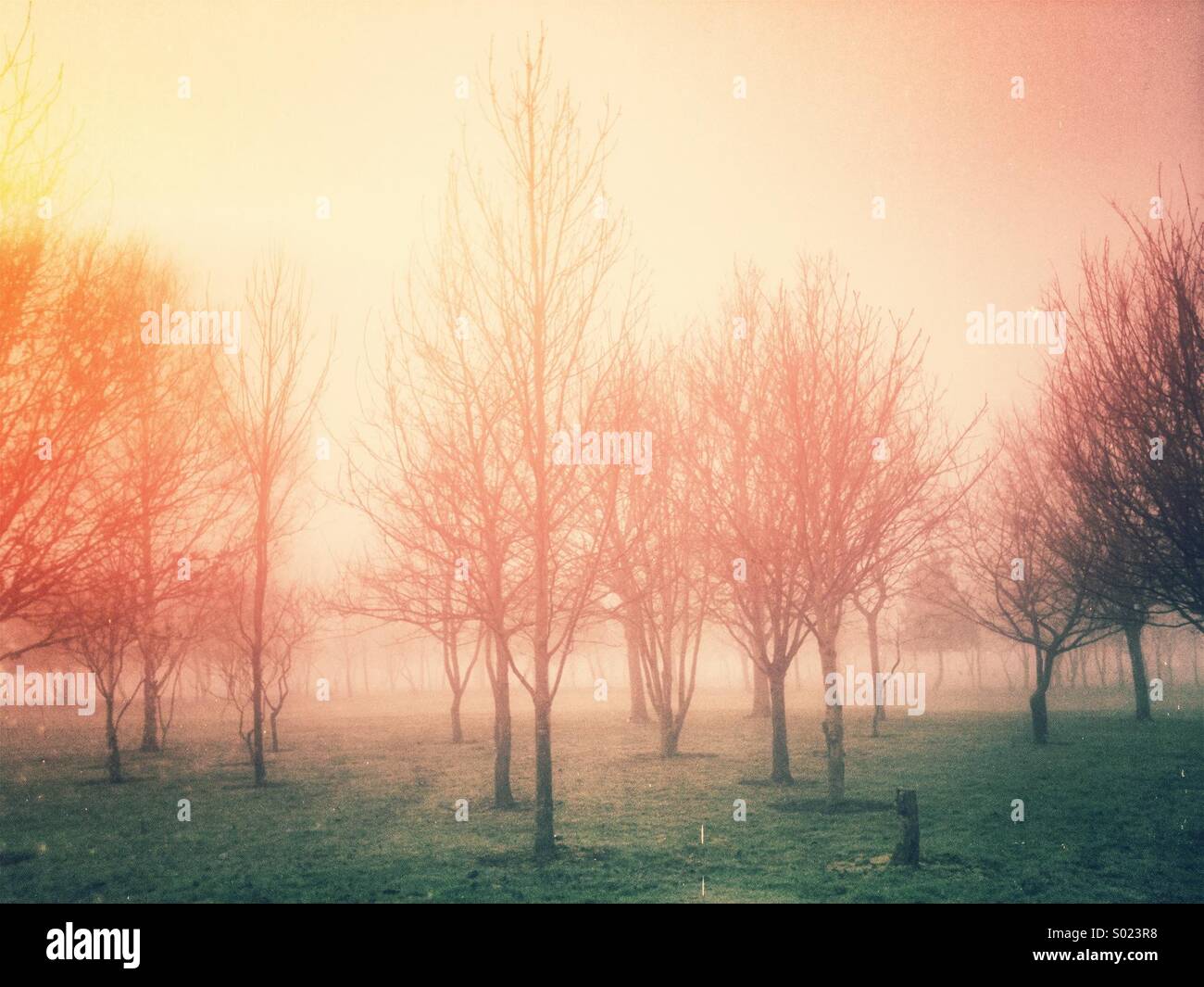 Foggy landscape scene with retro style filter applied. - Smartphone Captured Stock Image