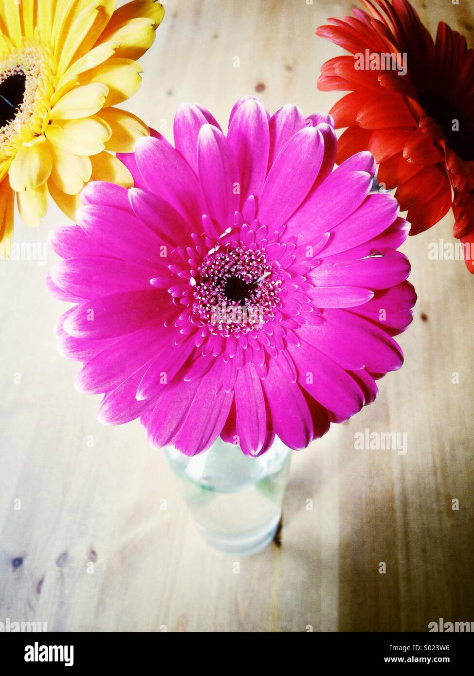 Cheerful flowers in vase Stock Photo Alamy