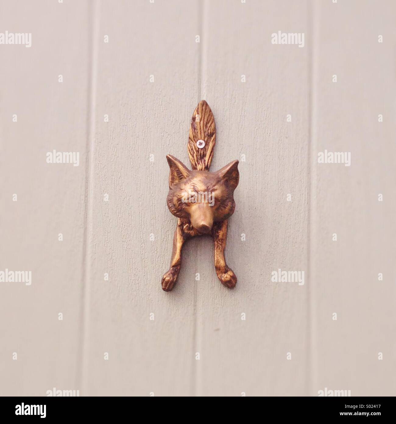 Wolf Door Knocker Stock Photo 309833699 Alamy