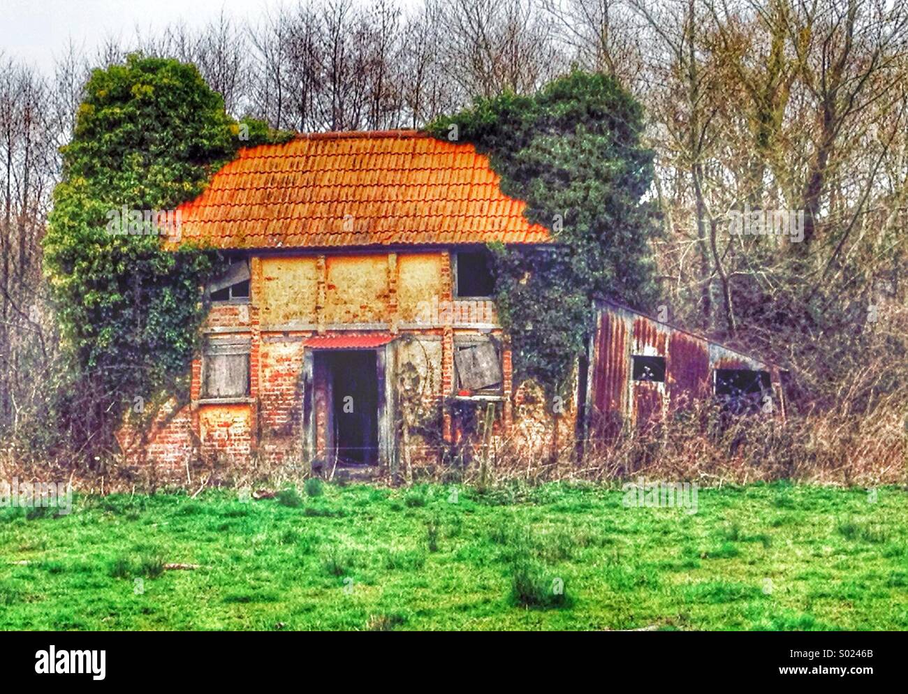 Tumbledown Rural Cottage in Somerset UK Stock Photo