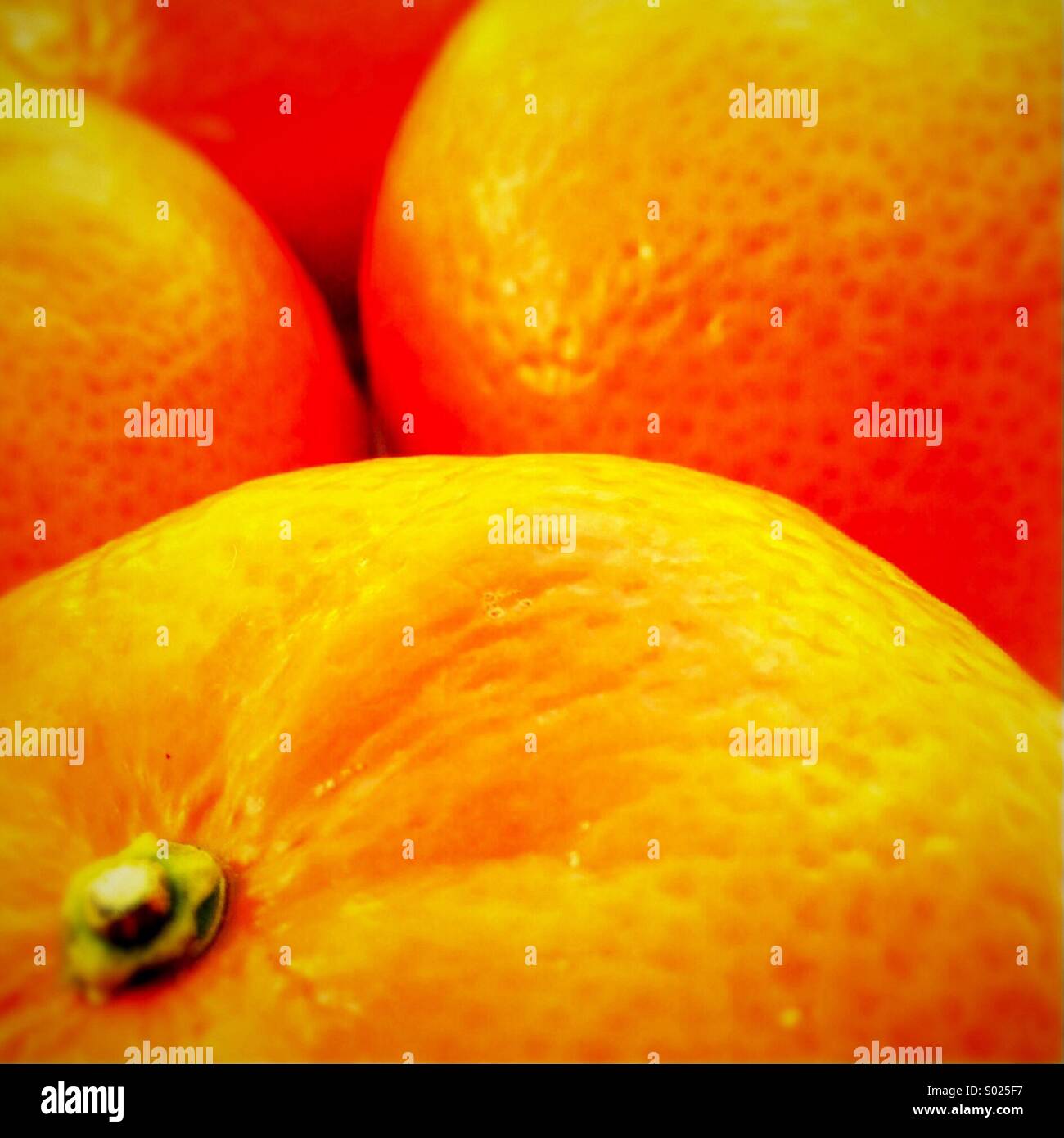 Oranges - Smartphone Captured Stock Image