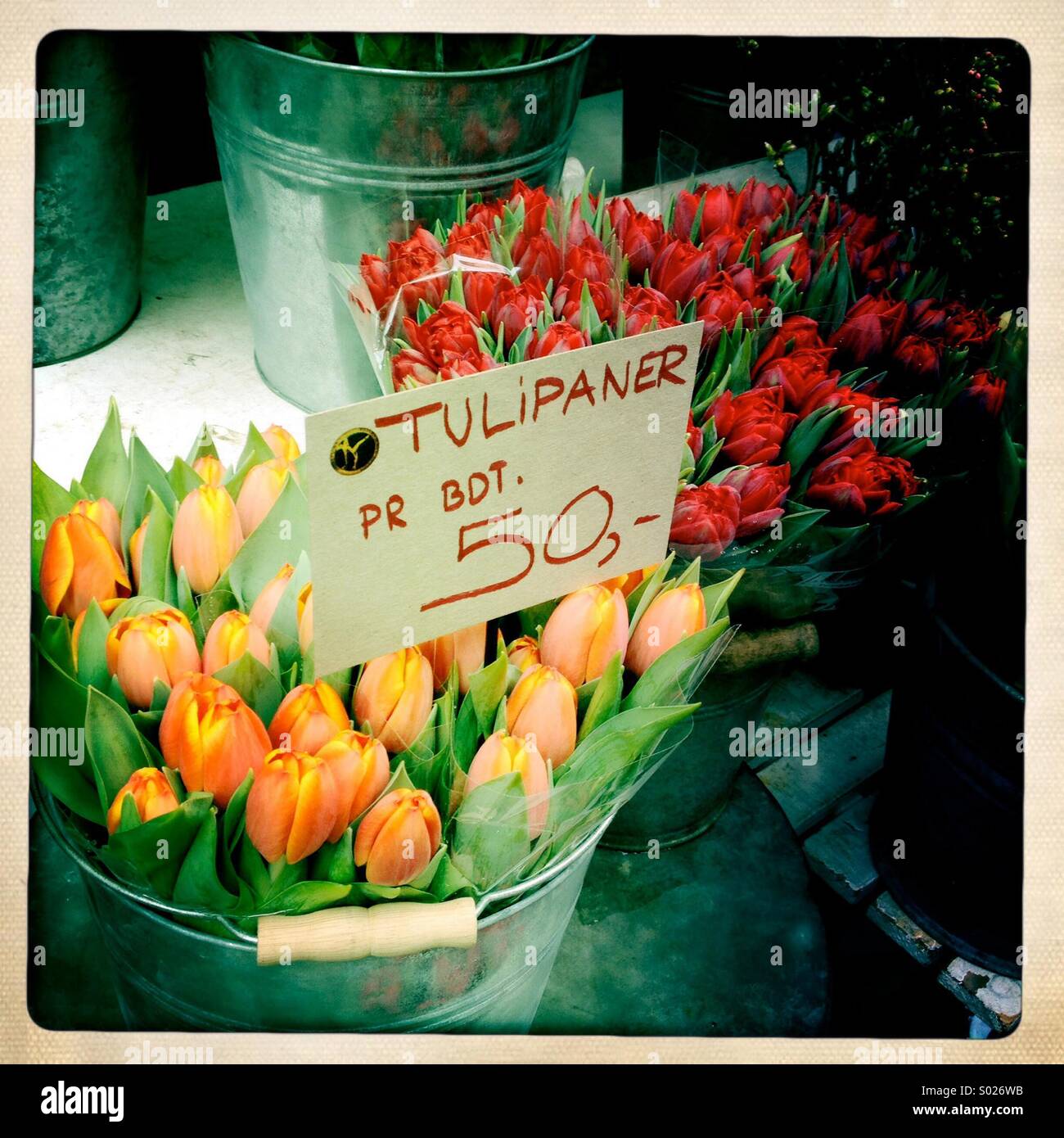 Flowers in Copenhagen Stock Photo