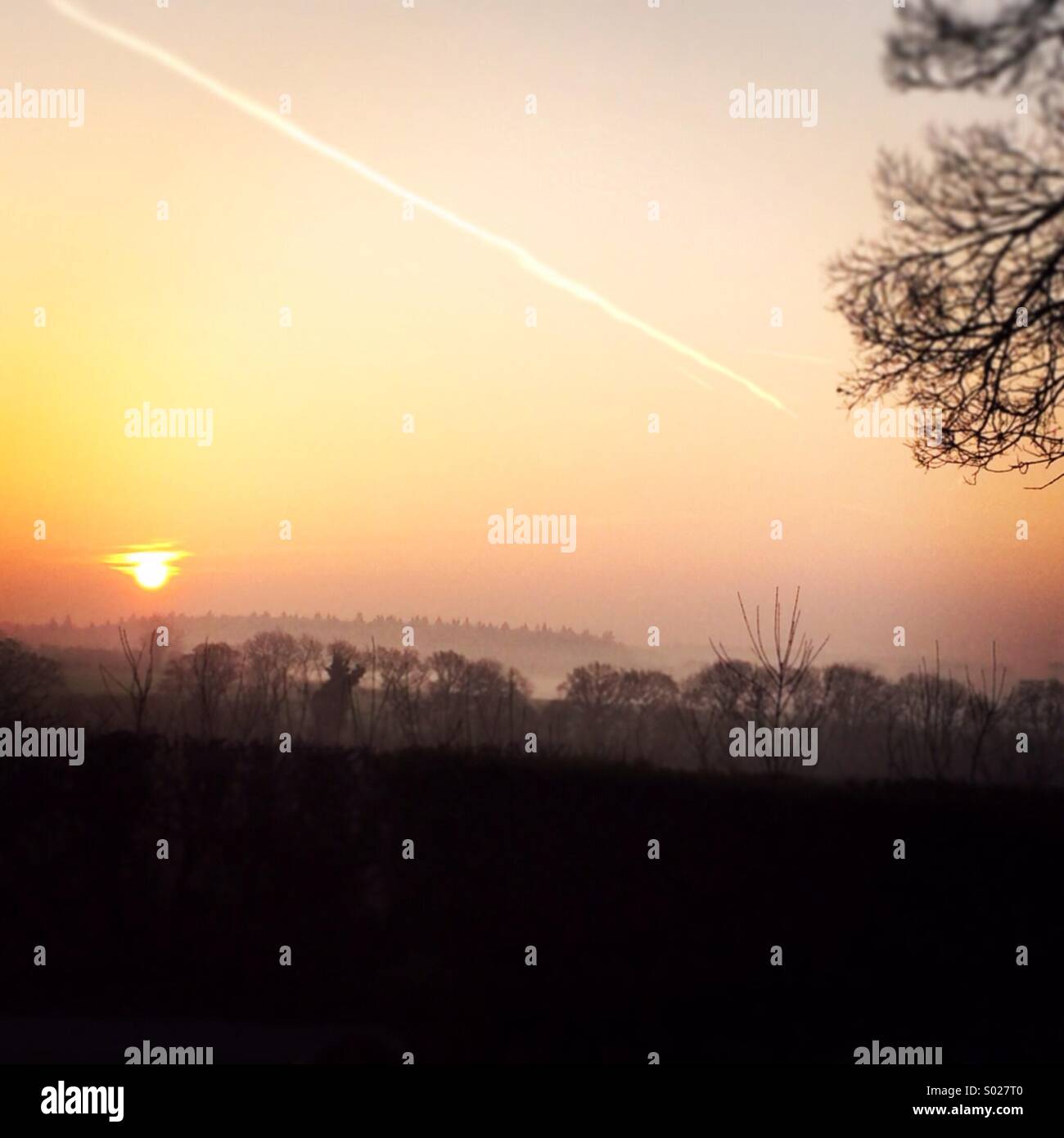 Sunrise in spring UK Stock Photo - Alamy