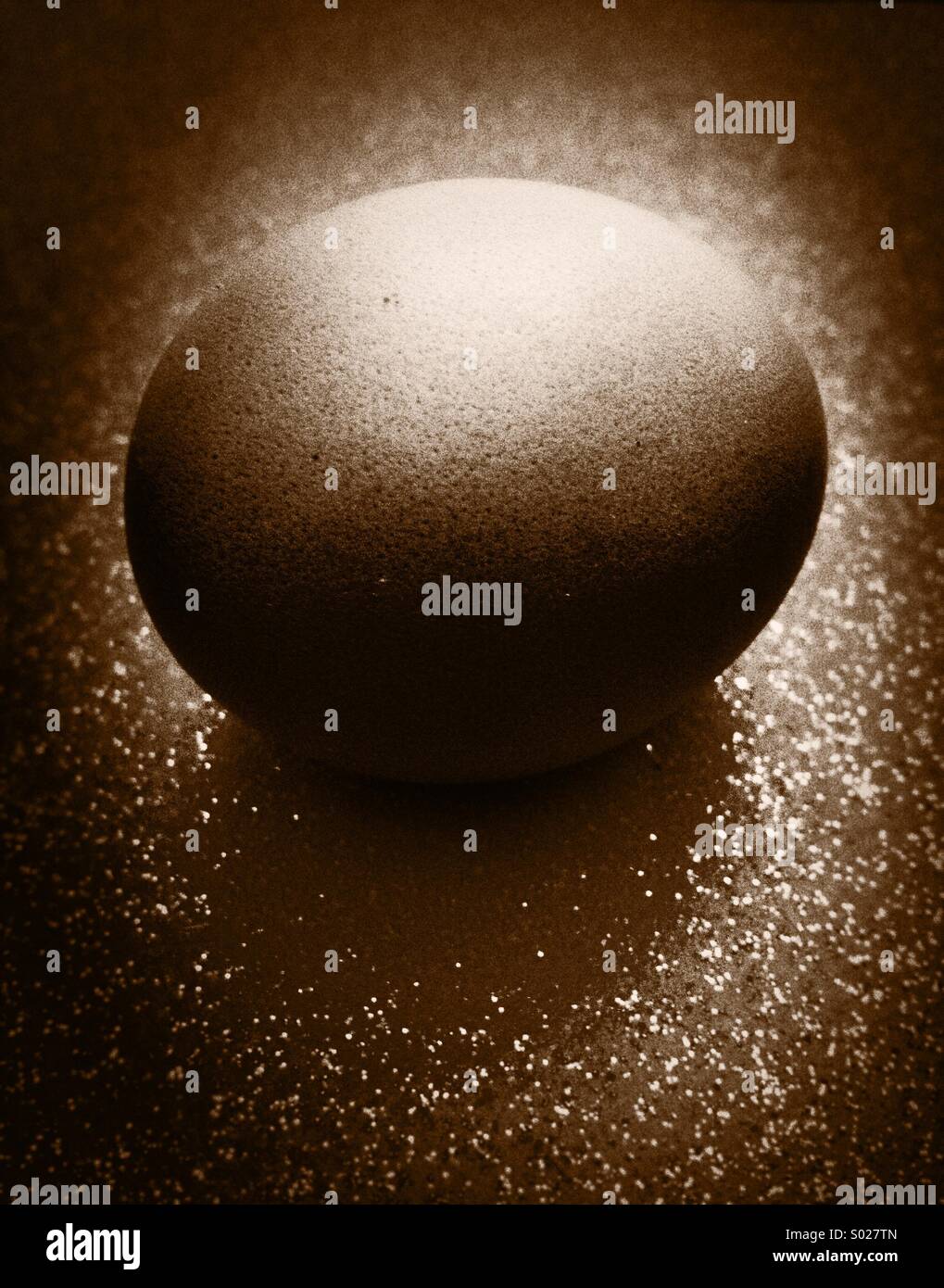 Egg - Smartphone Captured Stock Image