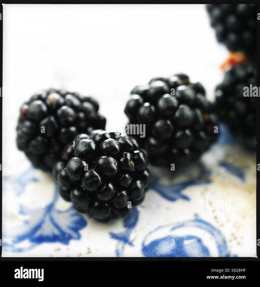 Fresh picked blackberries Stock Photo