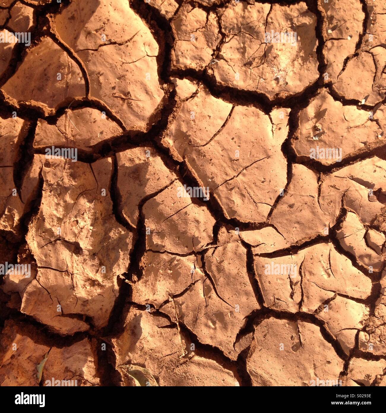 Dry land, Sierra de Cadiz, Andalusia, Spain - Smartphone Captured Stock Image