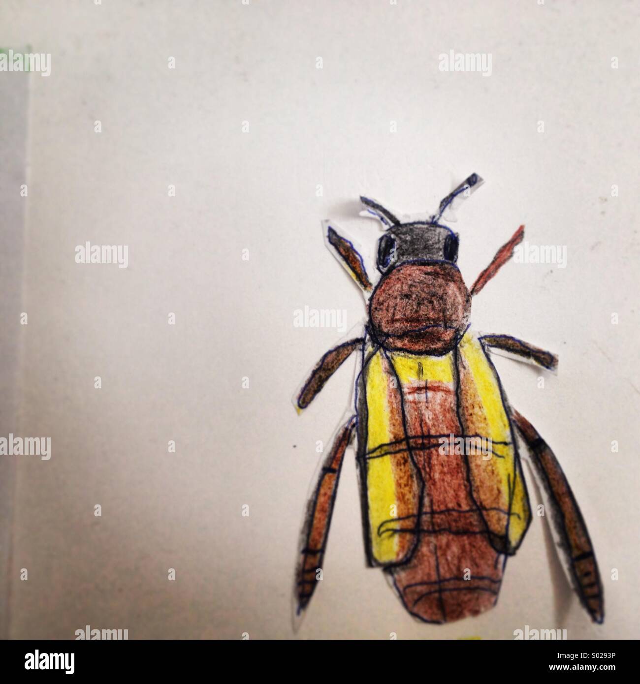 Drawing of a queen bee, Villaluenga del Rosario, Parque Natural Sierra de Grazalema, Sierra de Cadiz, Andalusia, Spain Stock Photo