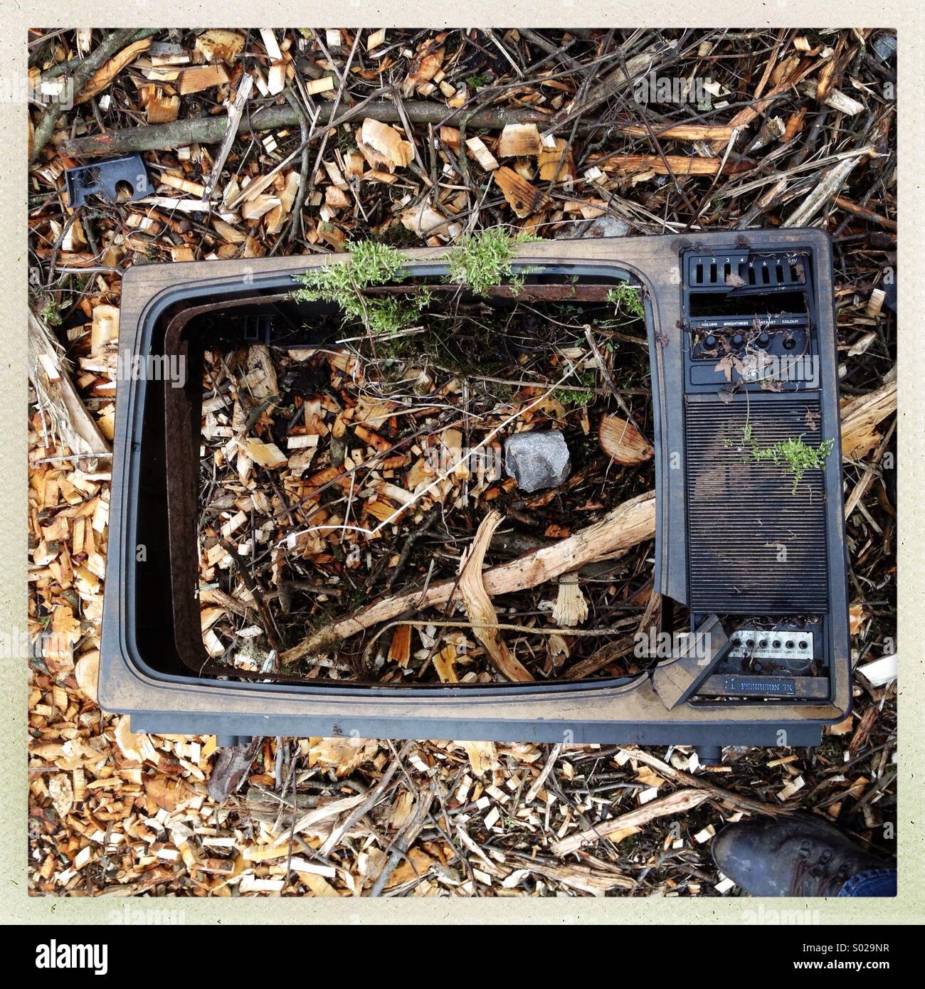 Busted moss covered tv - Smartphone Captured Stock Image