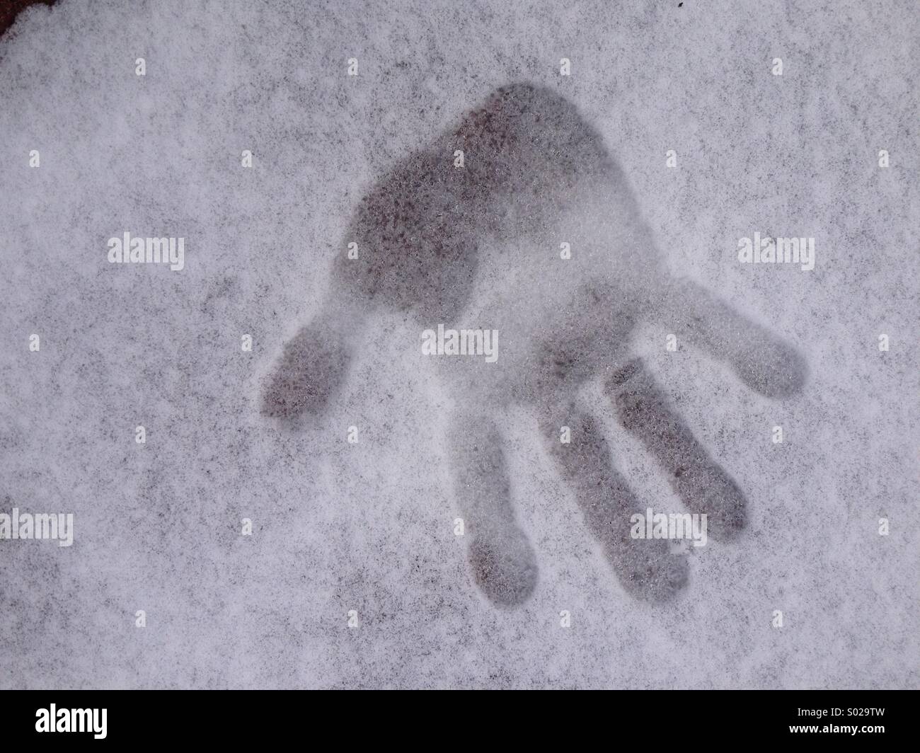 Handprint in light snow Stock Photo