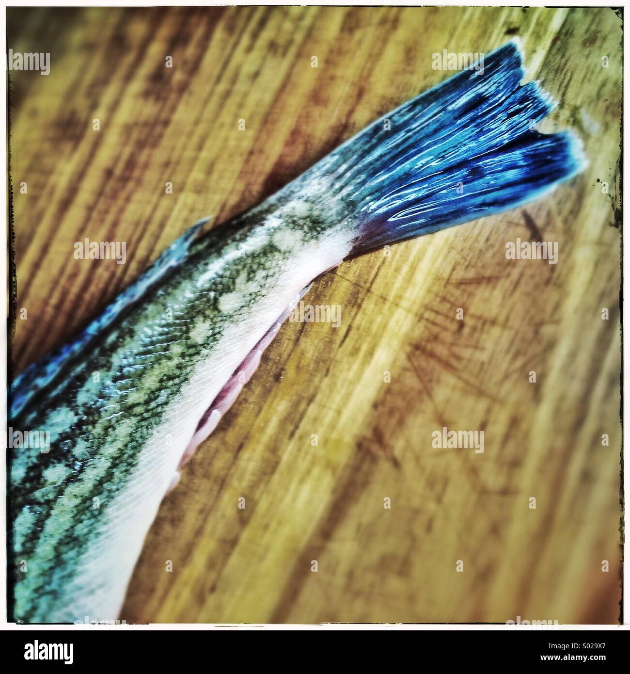 Fish tail on a wooden board ready to be grilled Stock Photo