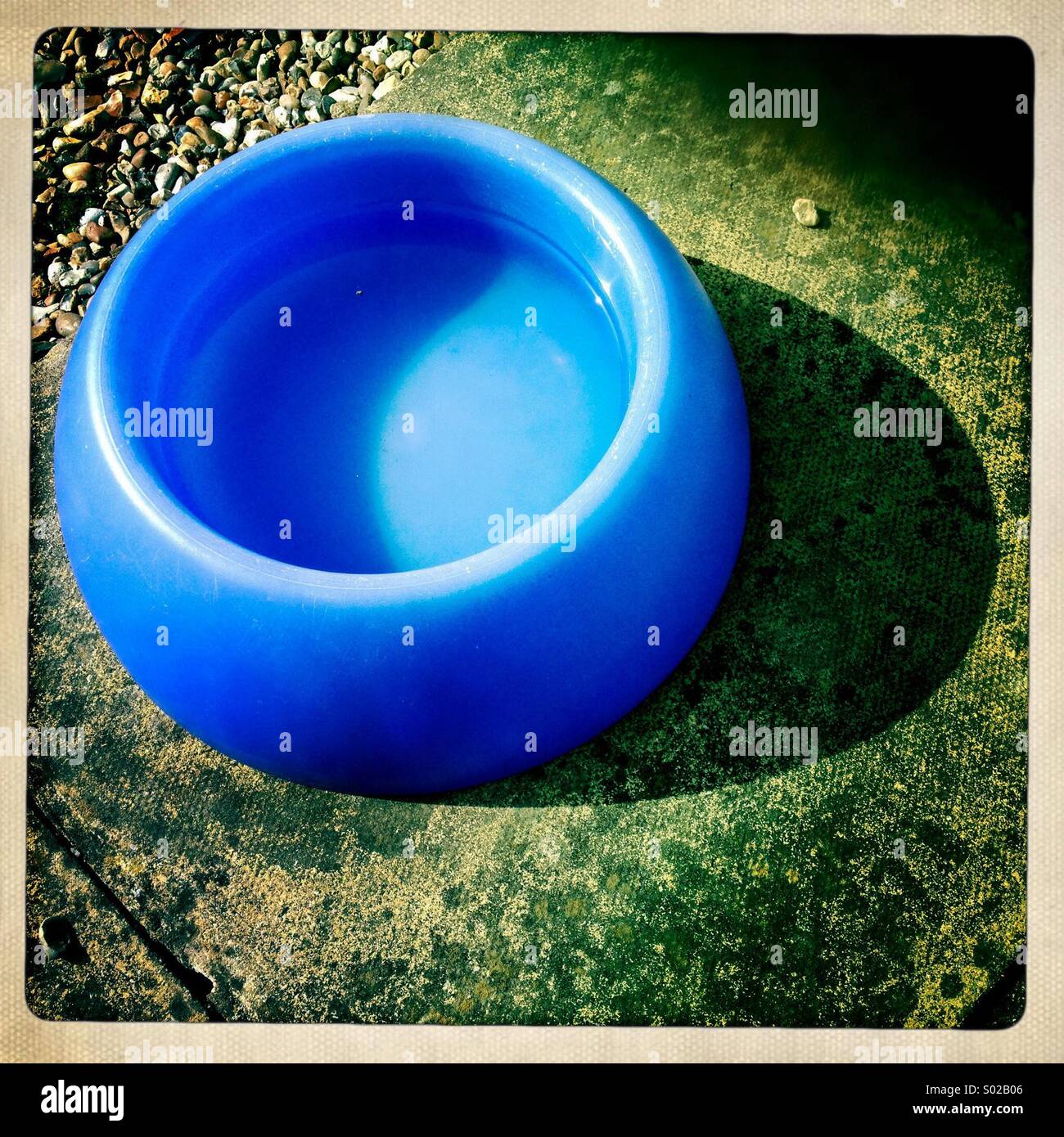 Dog water bowl hires stock photography and images Alamy